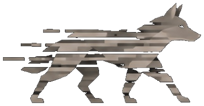 Coyote Media Group